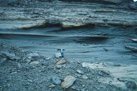 Cross bedding and planar beds.