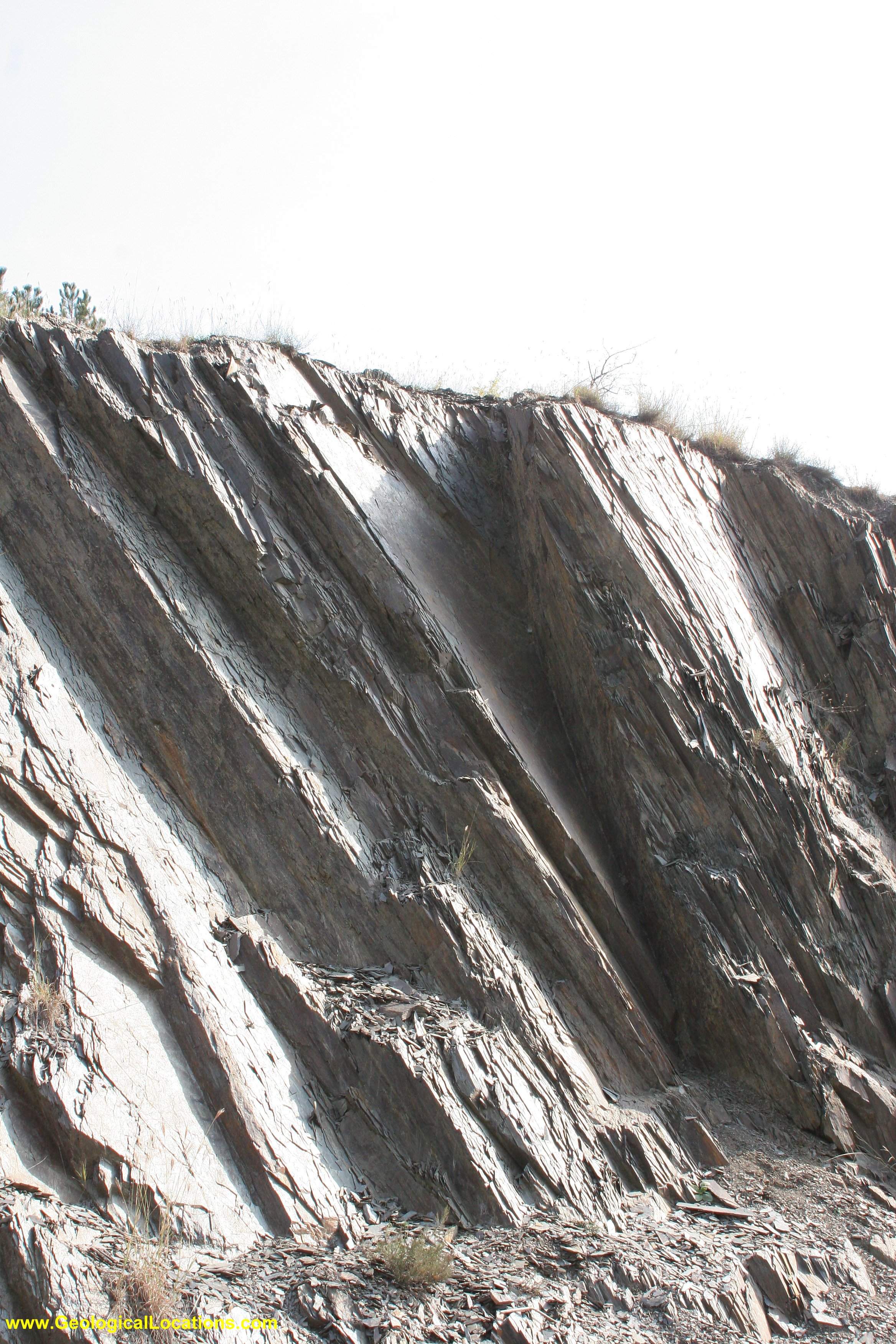 Devonian shale