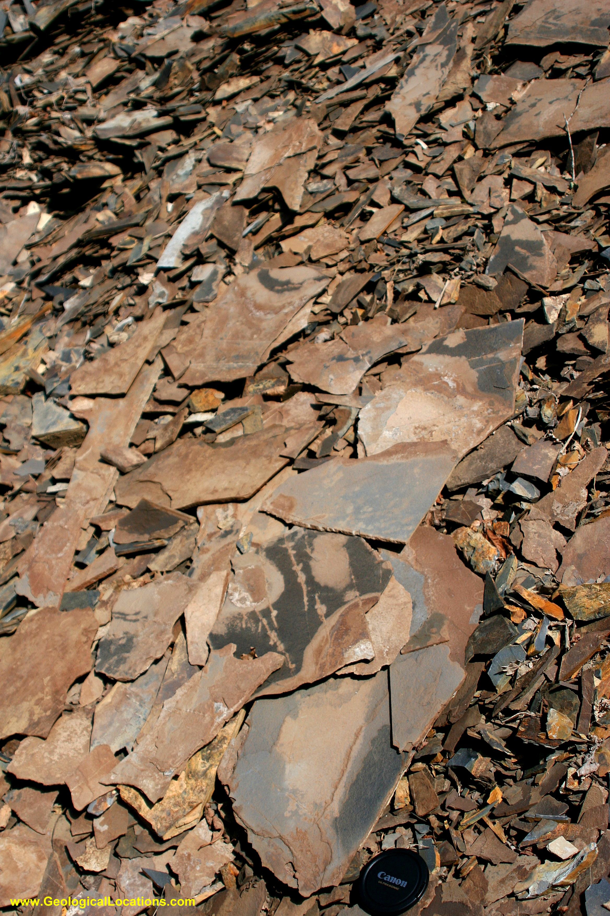 shale oxidation