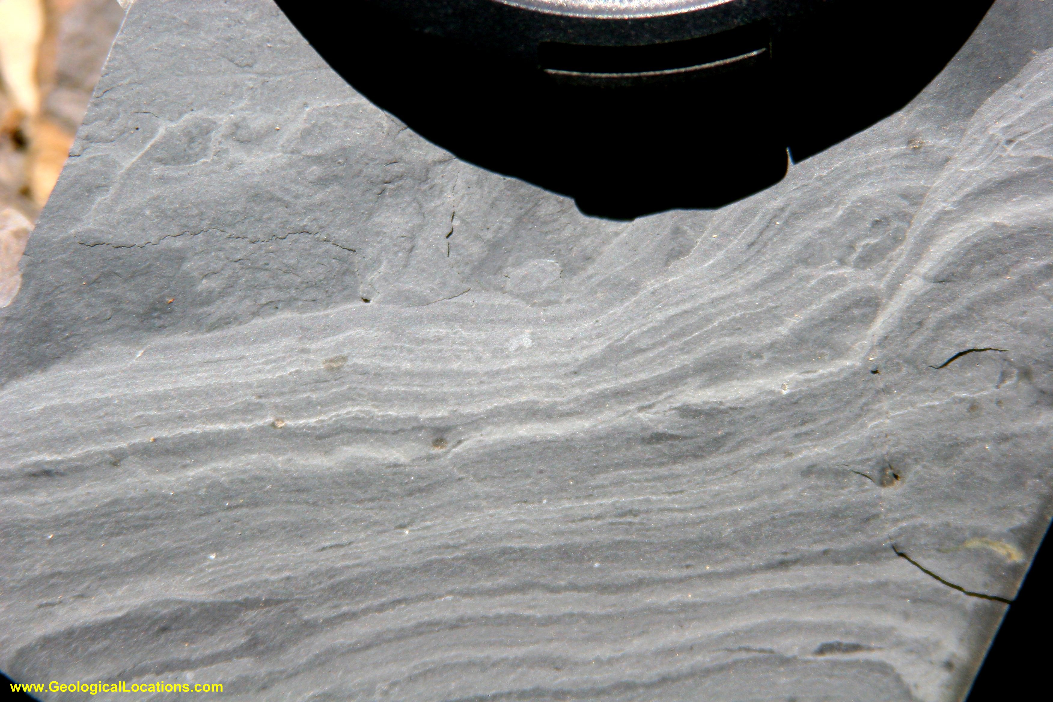 Silurian bedding