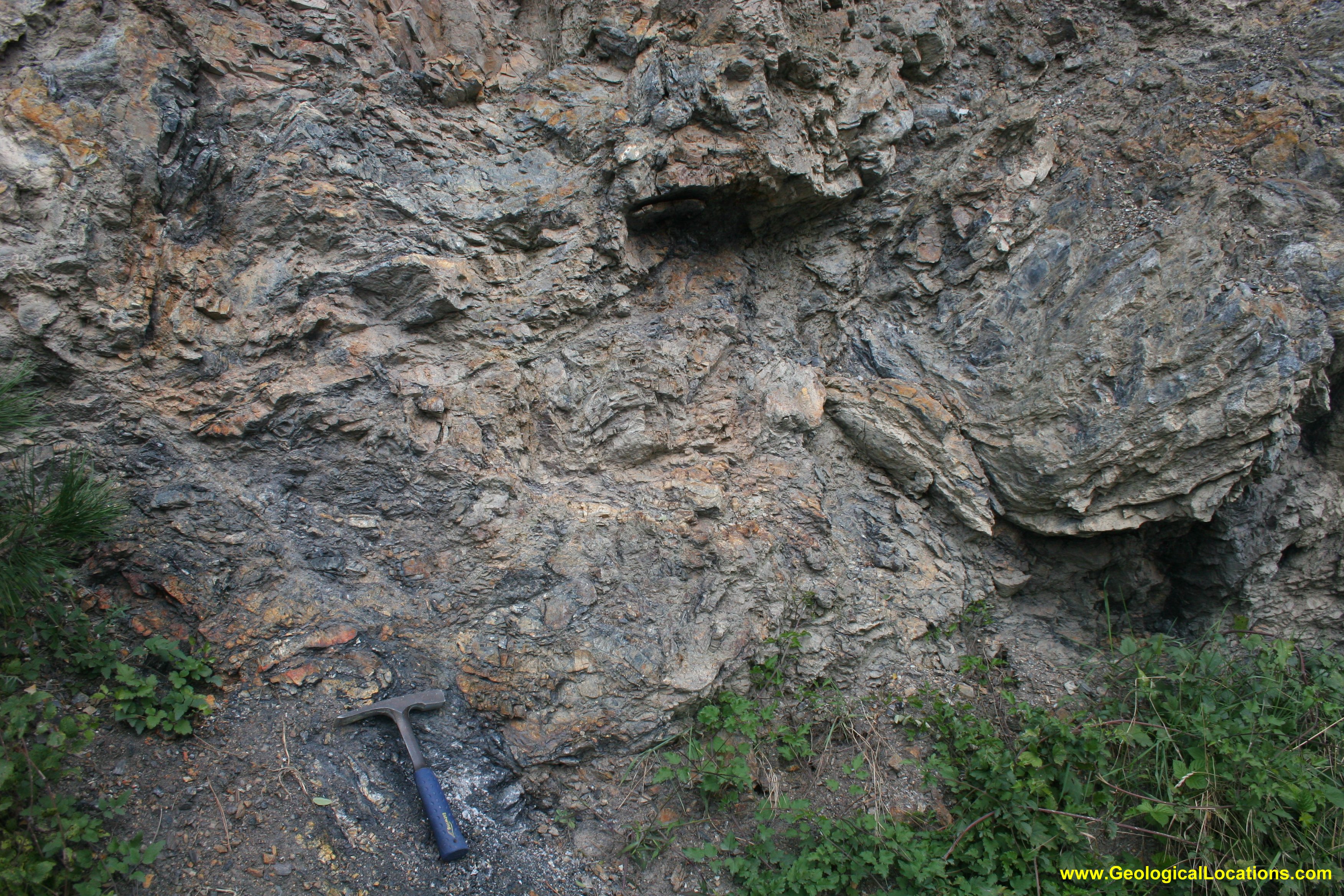 PZ ophiolite
