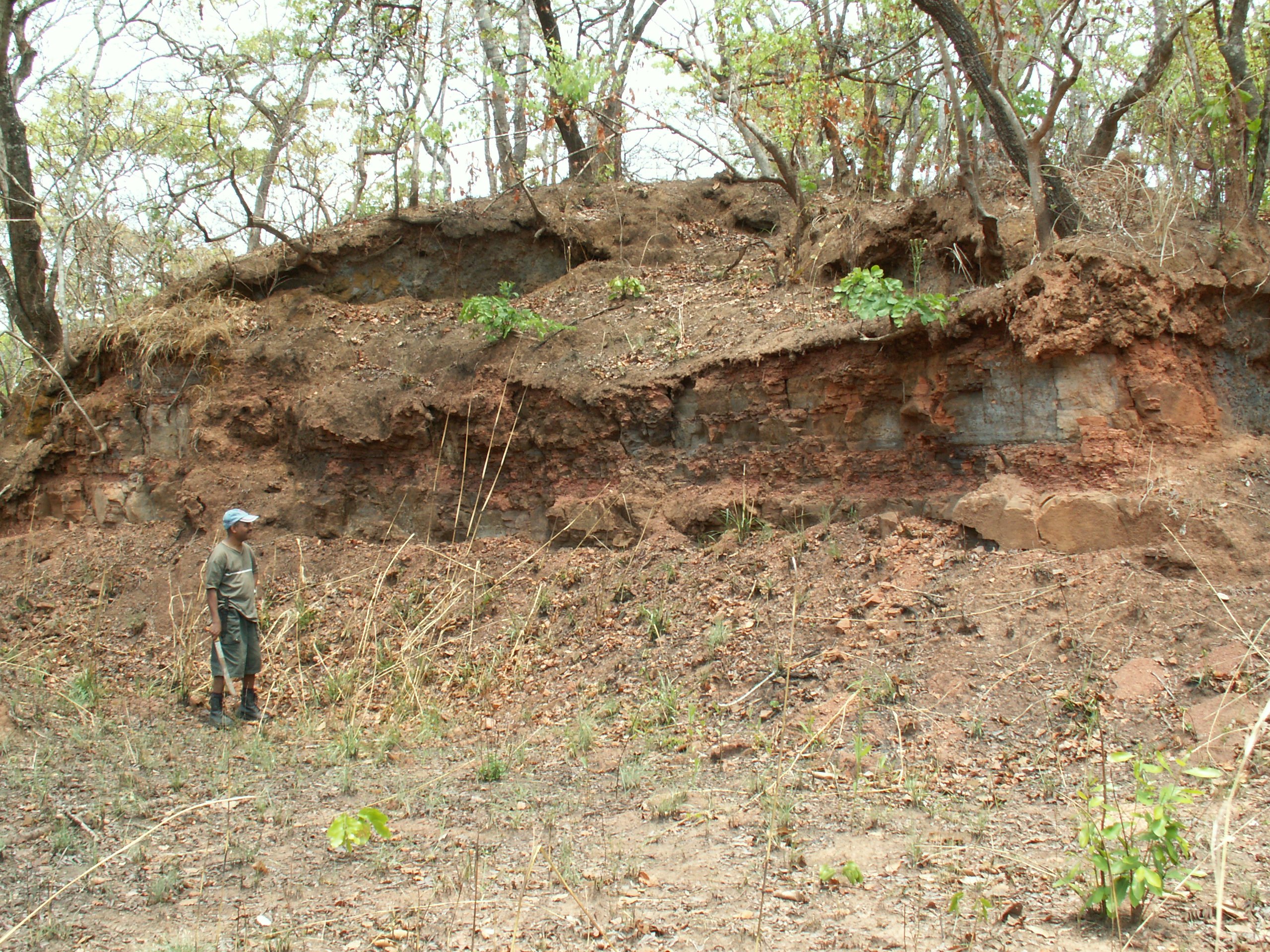 red sandstone-siltstone